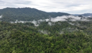 Pegunungan Meratus. (foto: mdr)