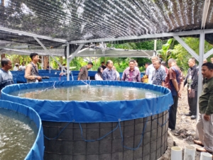 Bupati HST Kunjungi Kolam “Sumur Candi” Pelajau, Beri Panduan Praktis Petani Ikan