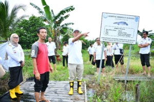 Potensi Kampung Haruan di HSS: Pengembangan Produk Kesehatan Hingga Wisata Tematik