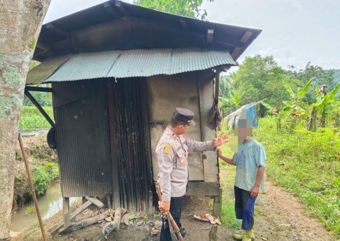 
 Suami-Istri Luka Berat Kena ‘Timpas’ Saat di Kebun Tomat Mangunang Seberang HST
