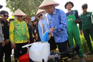 Panen Padi di Kaliring, Bupati HSS Lanjutkan Tanam Ke Dua dengan Drone Pertanian
