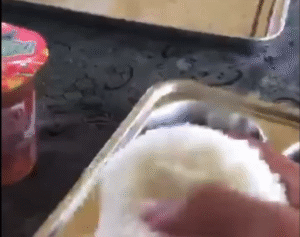 Video Viral: Siswa MTsN di HST Lempar Makanan MBG